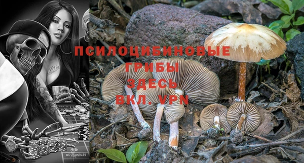 прущий лед Алексин